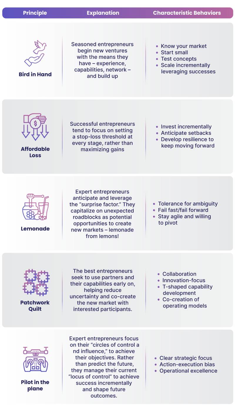 The DNA of a successful startup