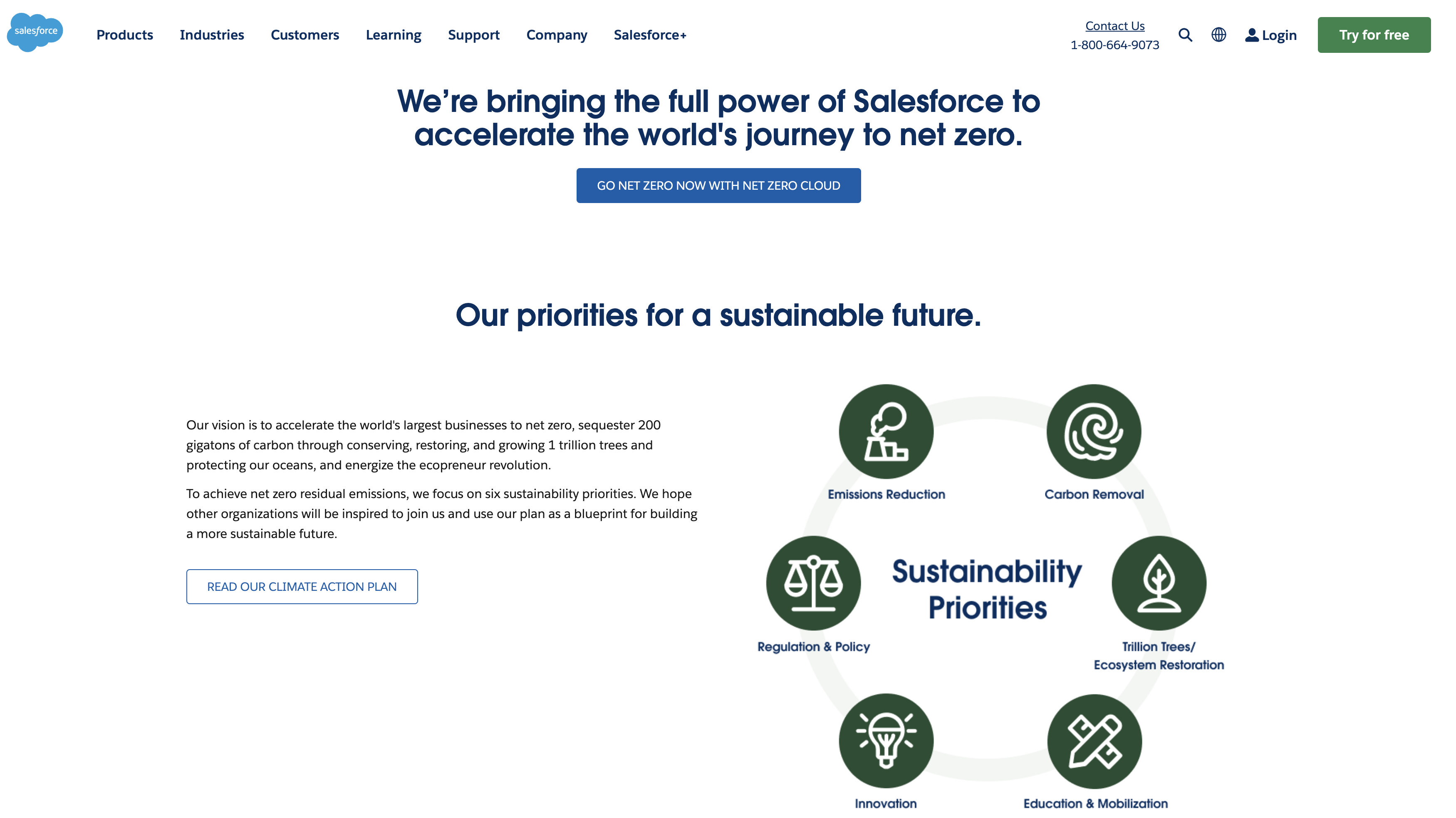 Salesforce Employer Branding