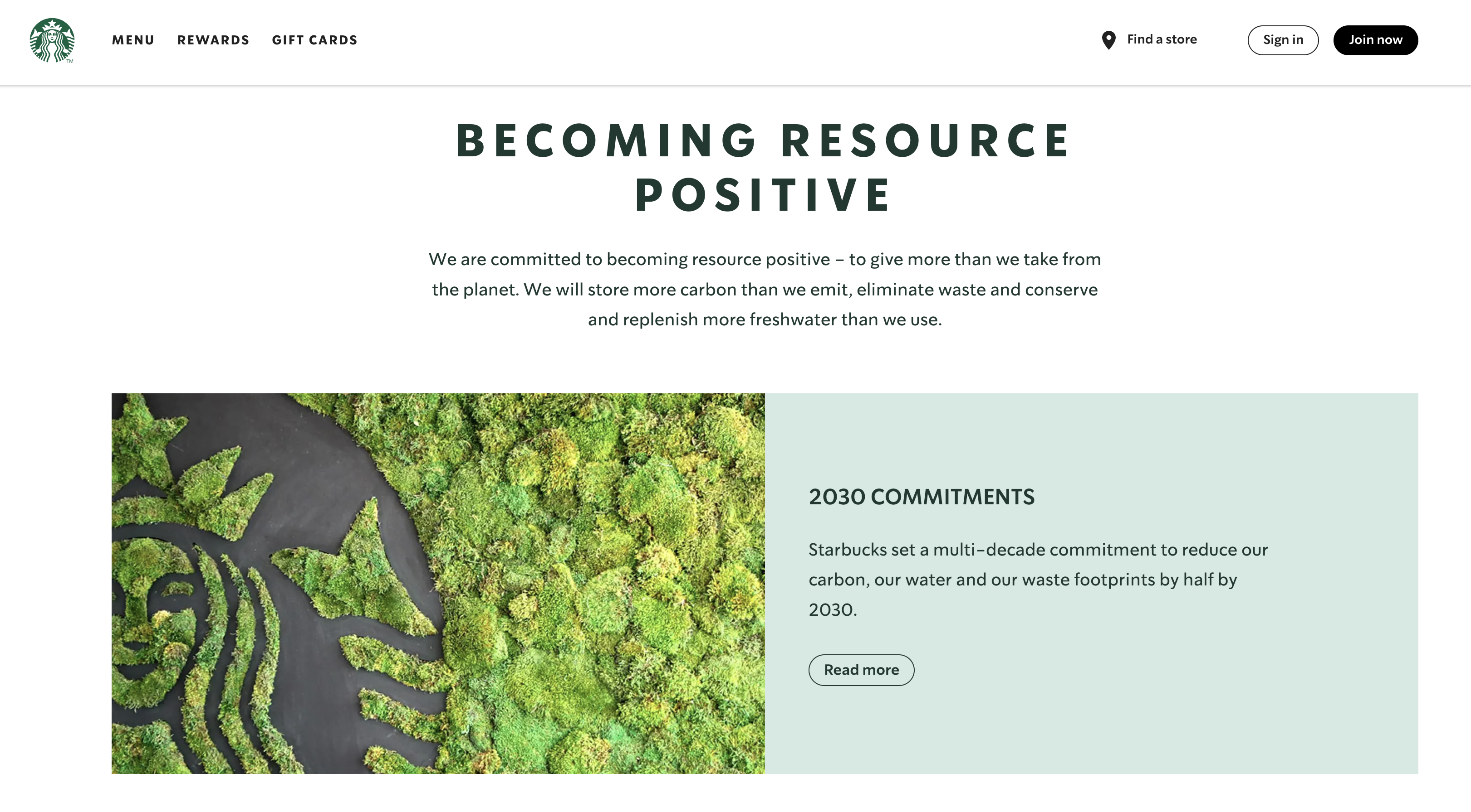 Starbucks Employer Branding Examples